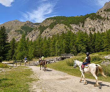 Horse Back Riding