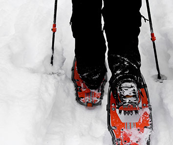 Snow Shoeing and Rental Gear