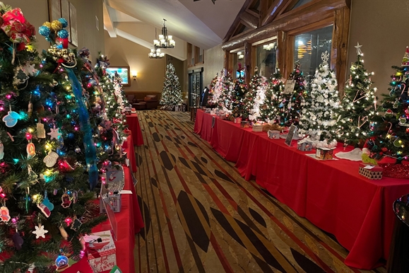 VISIT THE ESTES PARK FESTIVAL OF TREES & NEWLY OPENED SPA QI LOUNGE