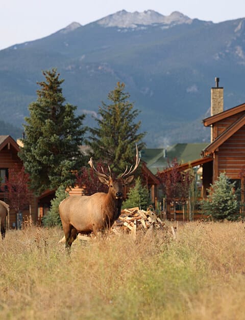 The Estes Park Resort: Hotel on Lake Estes