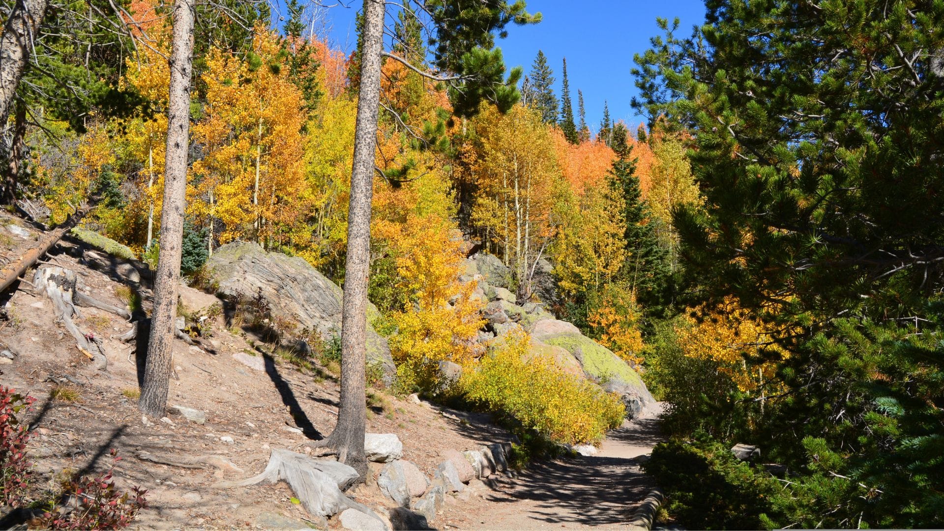 The Ultimate Summer Bucket List for Estes Park Visitors